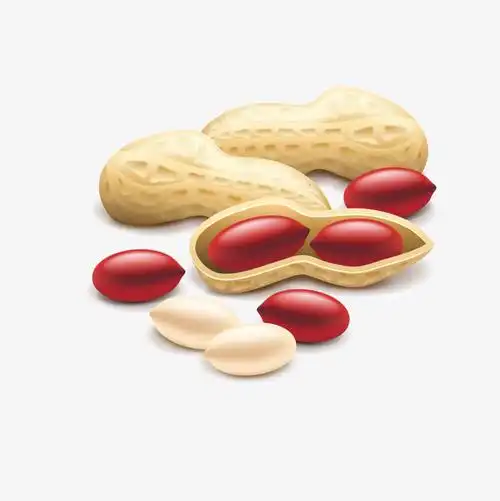 食物花生干果食物设计