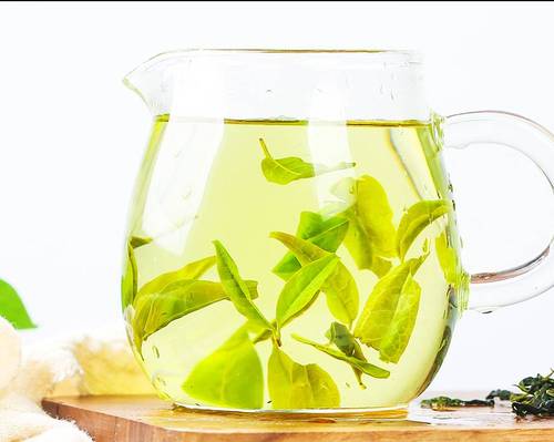 苦茶正品特级官方旗舰店贵州余庆丁酵小叶功效2021代用