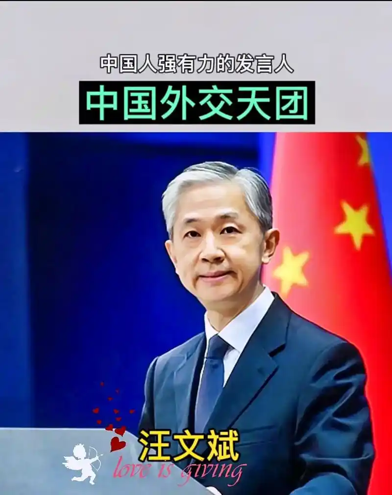 中国外交天团,向全世界彰显中国人的风采,让世界都为之震动的硬 - 抖