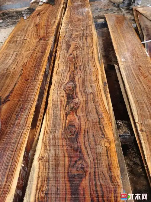 墨西哥黄花梨 - 批木网