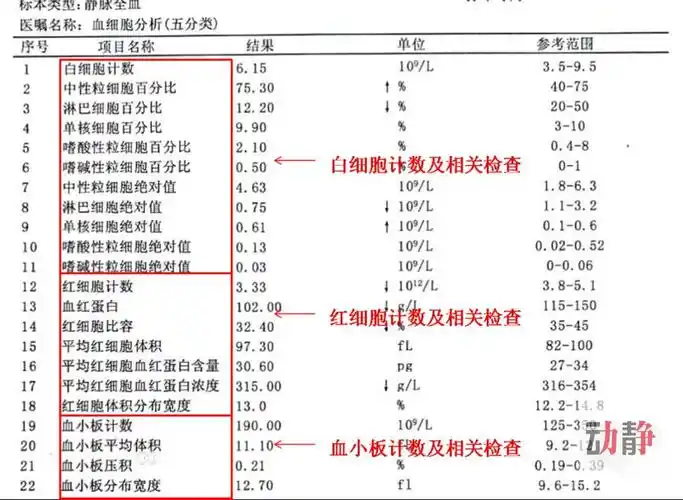 动静医生丨看到血常规报告有箭头别慌可能是这些原因引起的