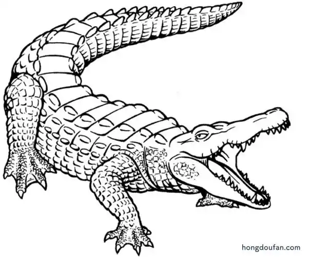鳄鱼要怎么画9张卡通大鳄鱼涂色简笔画下载
