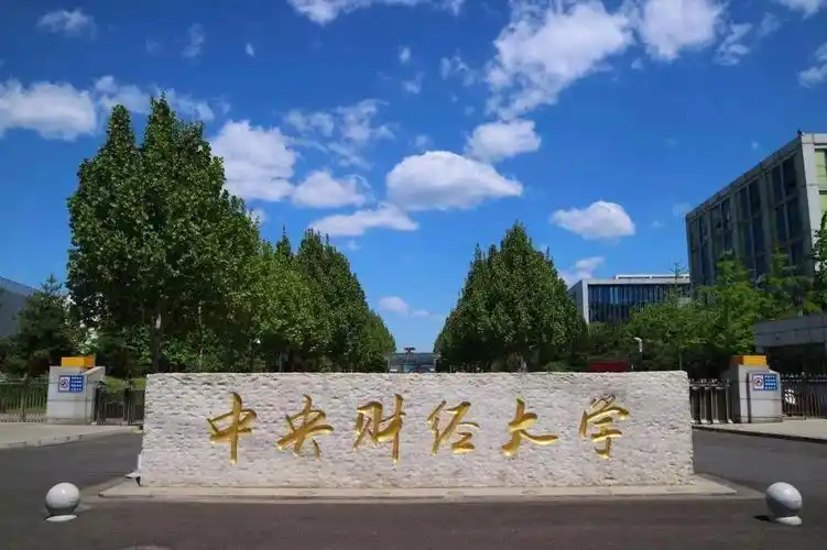 中央财经大学就业去向
