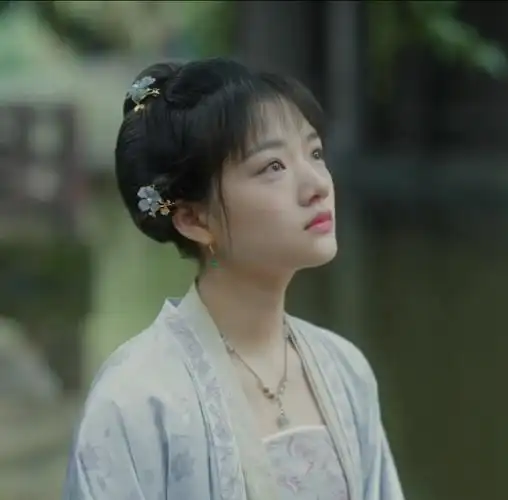 清平乐徽柔公主张妼晗张贵妃