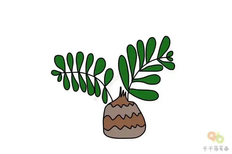 南美铁树简笔画大全