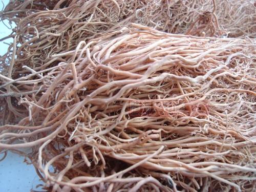 娃儿藤 老公须 白龙须 风shi腰痛500g - 惜福草药铺