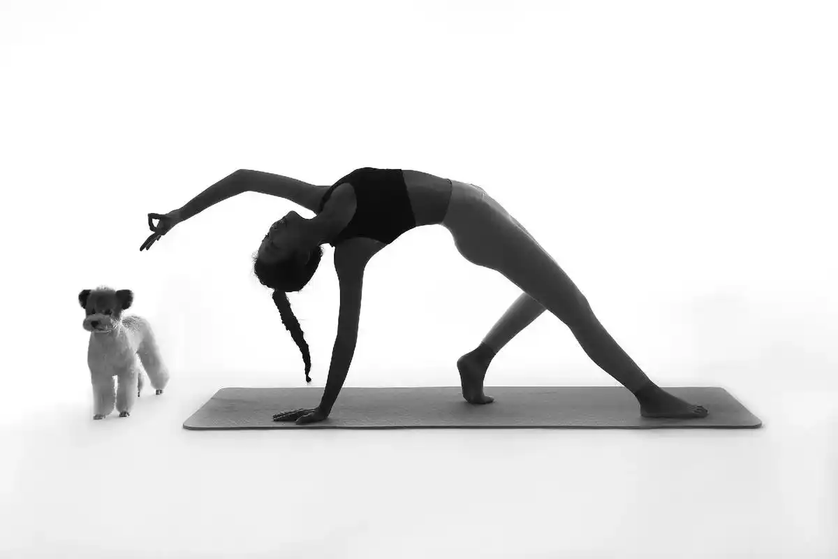 北京专业瑜伽摄影