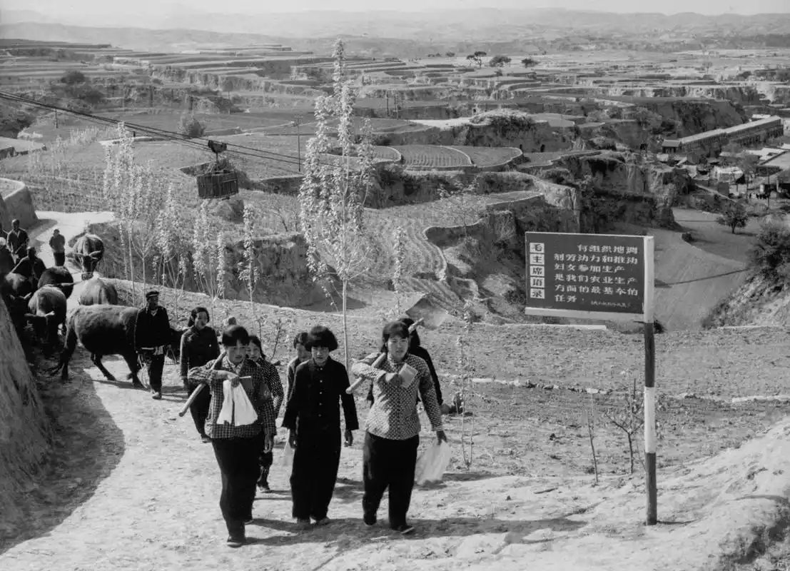 60年代的中国老照片(8)