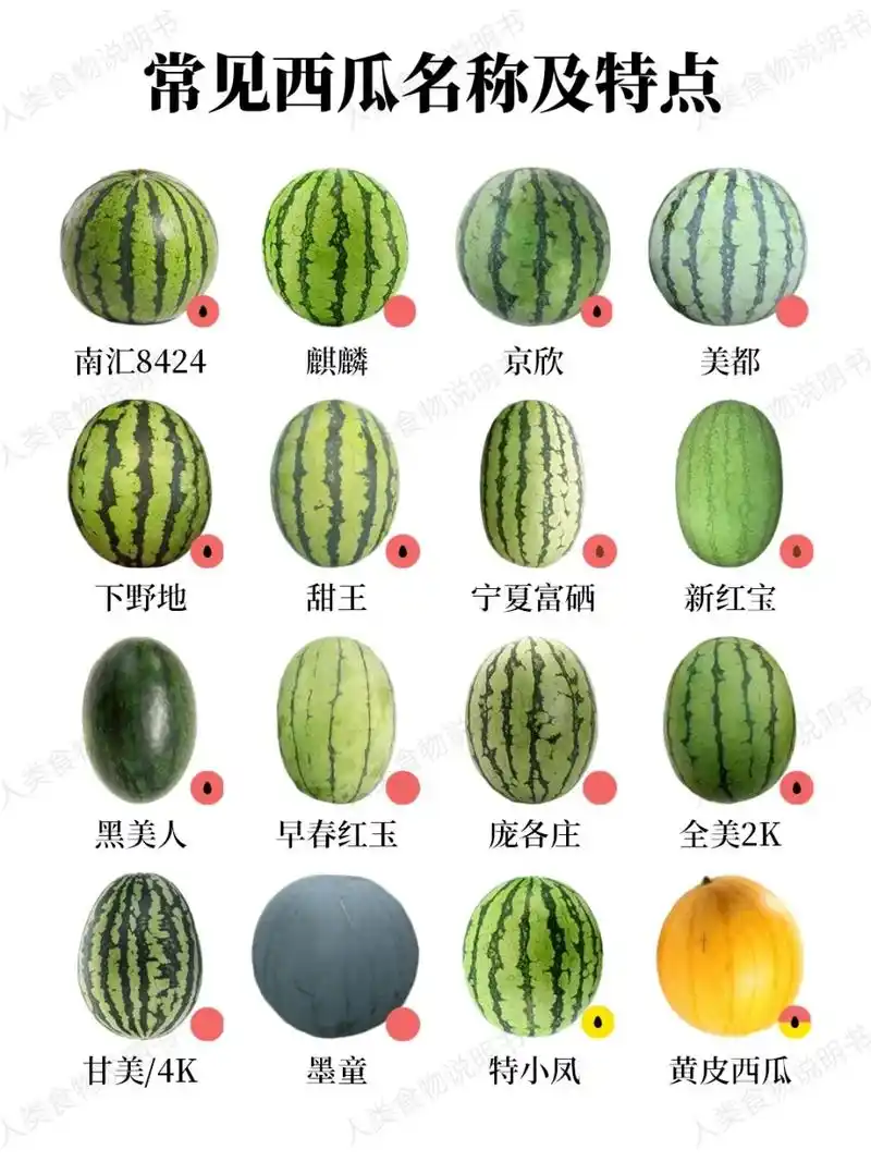 西瓜挑选技巧 甜不甜主要和品种有关,挑的时候是选