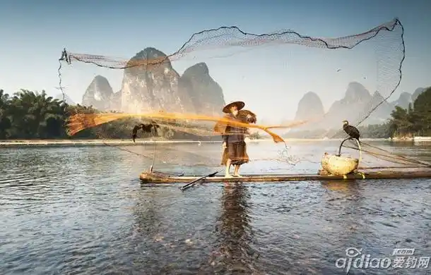 桂林:漓江上的鸬鹚如何捕鱼