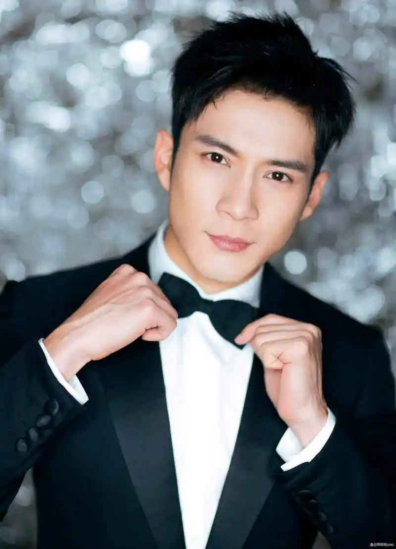 中国最帅电视剧男明星