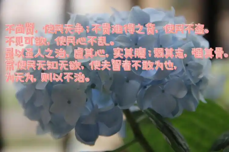 阅文字道德经第三章