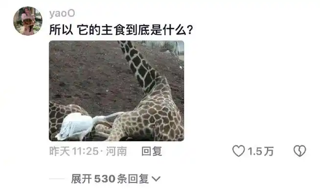 鹈鹕到嘴的鸭子飞了##万物有灵##镜头下的笑容