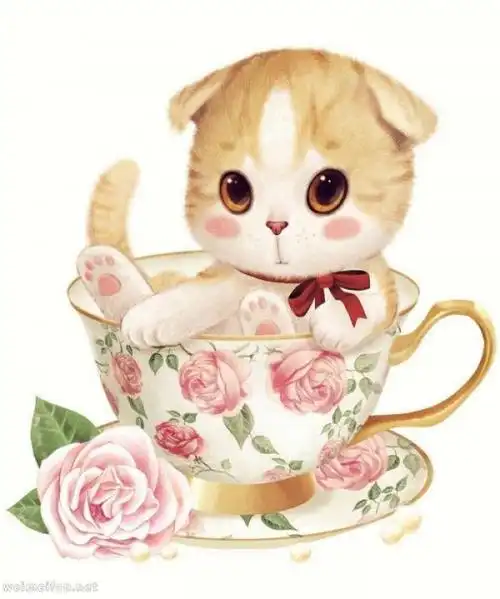 软软 呆萌小猫咪～可爱手绘 插画 (^o^) 前世一千次的卖萌,才能换来你