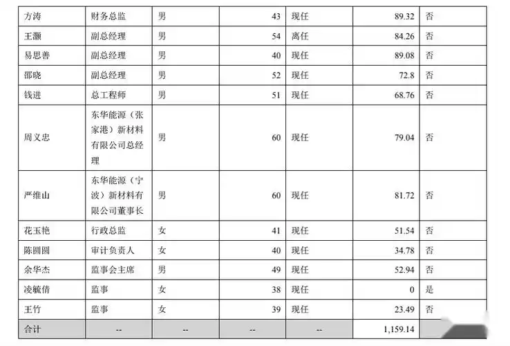 东华能源2021期末借款16085亿董事长周一峰薪酬13858万