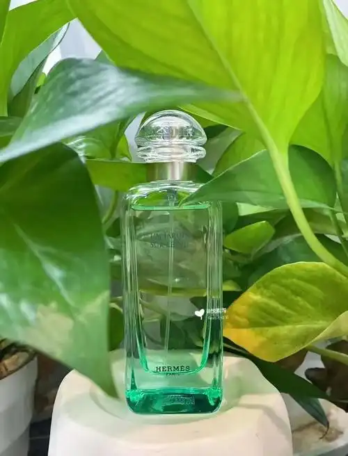 今天的这款爱马仕尼罗河花园香水,便是其中经典中的经典.