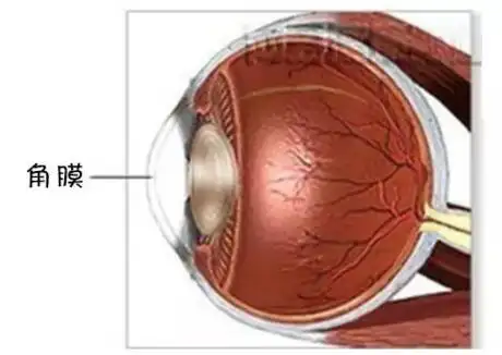 做角膜移植手术应该注意哪些问题 健康险知识 招商信诺人.