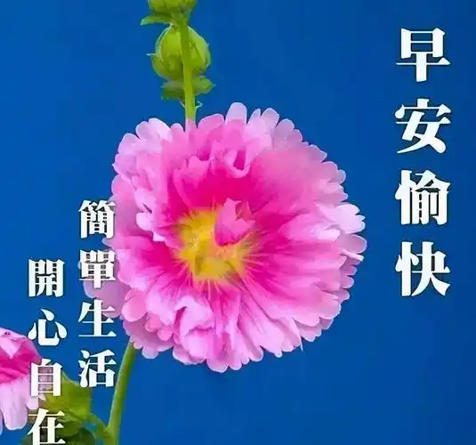 原创清晨早上好最新问候语动态图片2021年早安温馨祝福语词句大全