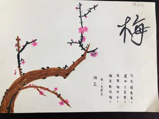 【石家庄市友谊大街小学西校】一三班班级课程之——绘画古诗《梅花》
