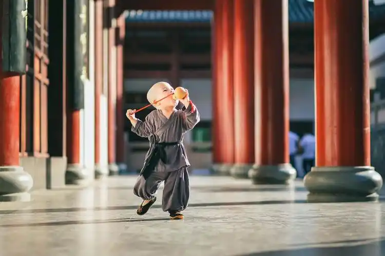 一休小和尚这个小和尚太可爱了