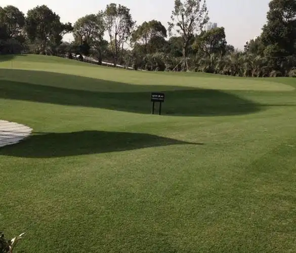 棕榈滩海景高尔夫俱乐部