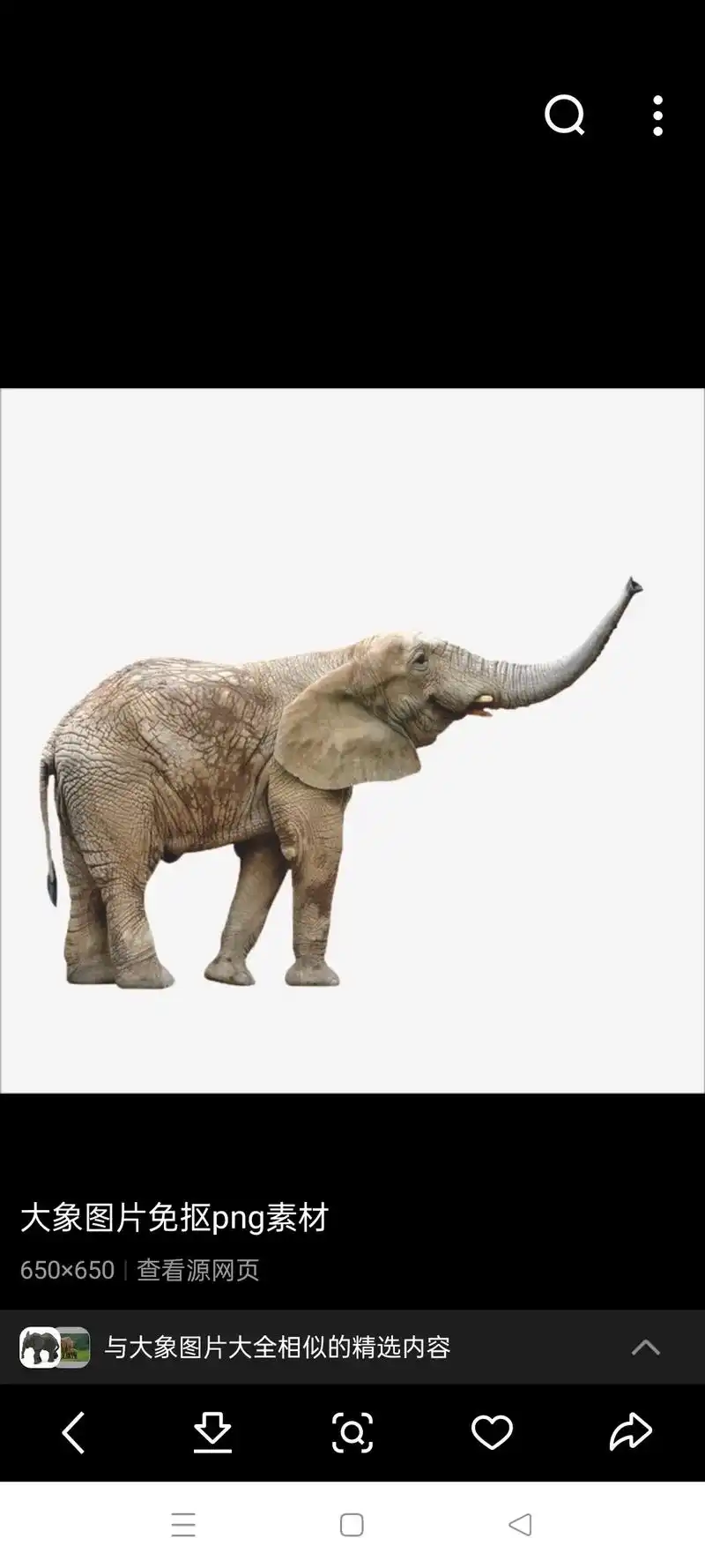 与大象图片大全相似的精选内容 大象剪影图片野生动物免抠素材 - 抖音