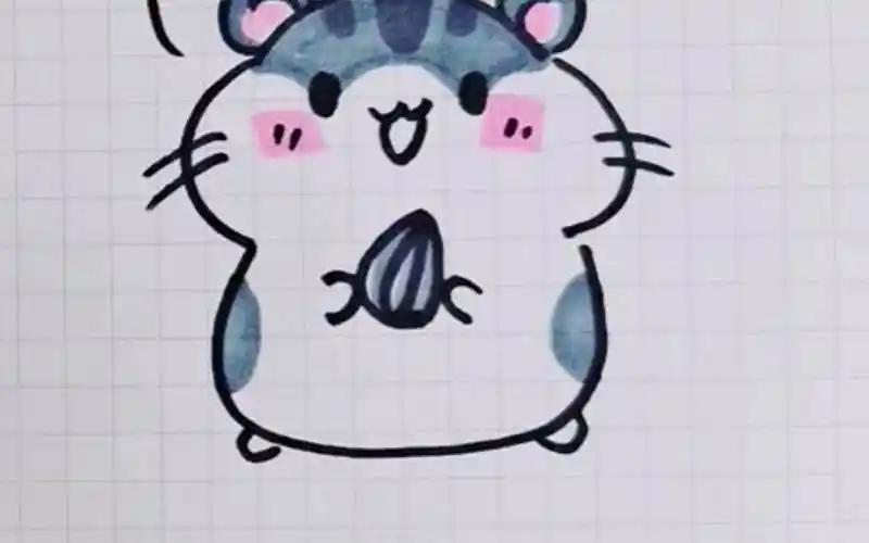 小仓鼠简笔画小仓鼠简笔画可爱