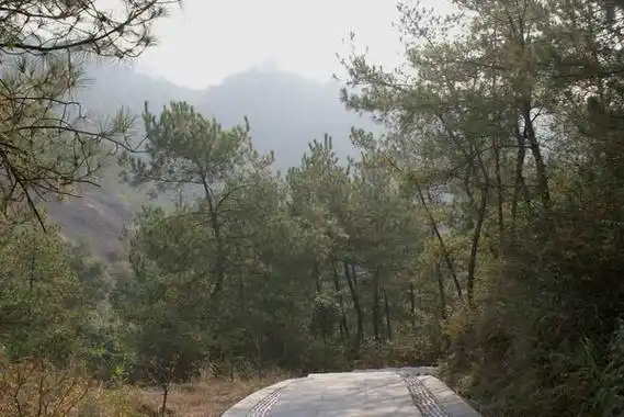 槎山国家森林公园