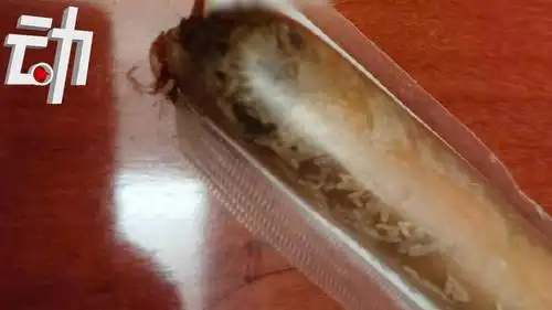 良品铺子回应产品现蛆虫:有合格报告 希望将争议产品送检