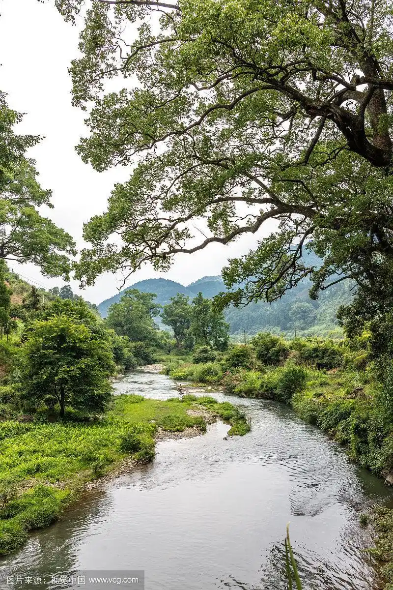 婺源乡村小河
