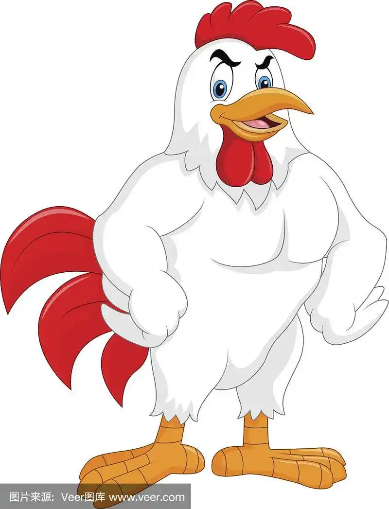 卡通公鸡摆出孤立的白色背景