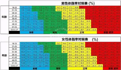 人体体脂率对照表