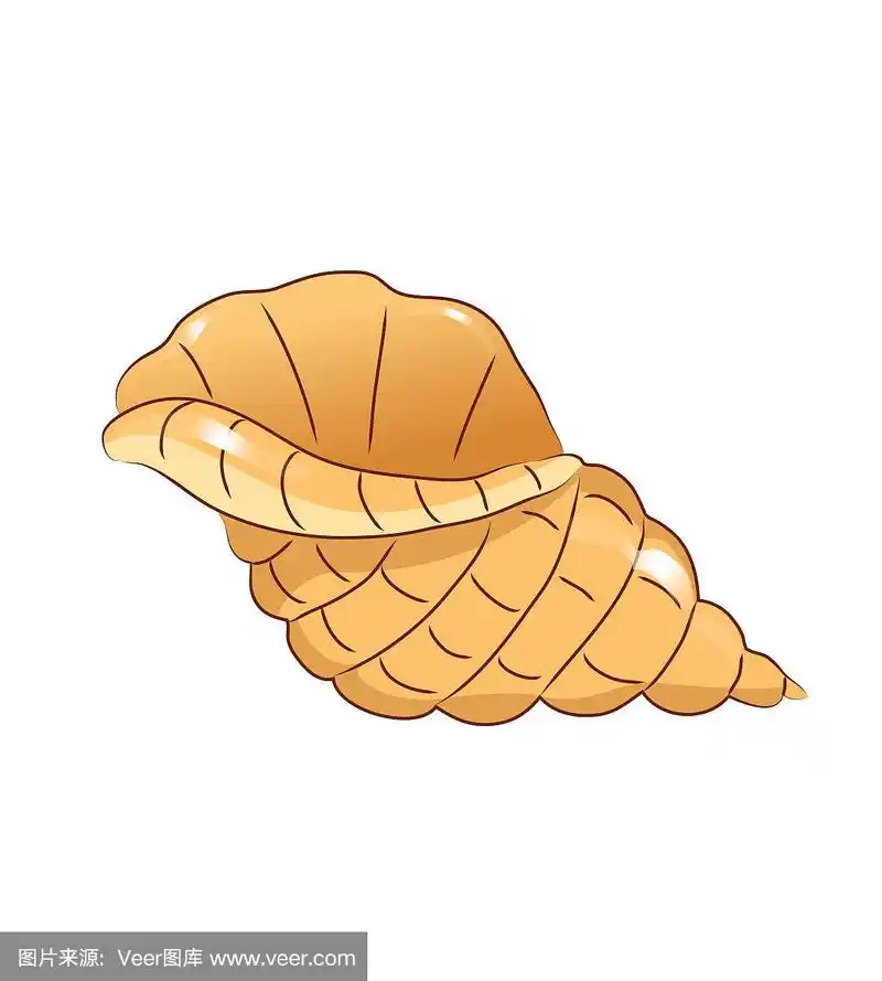 水族馆海贝矢量插图.