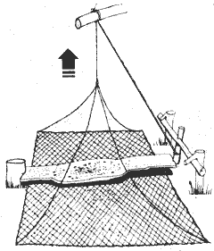 设捕猎陷阱和下套