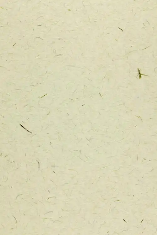 粗糙宣纸背景素材白色背景背景素材底纹图片素材纹理宣纸纸纹纸张炫酷