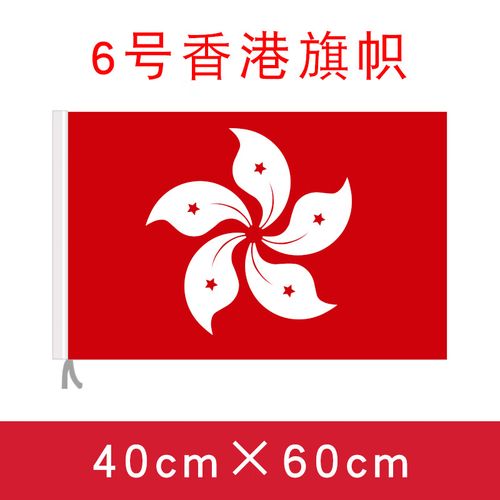 办公双面香港区旗4号香港港旗帜定制紫荆花旗不褪色户外装饰3号2号5号