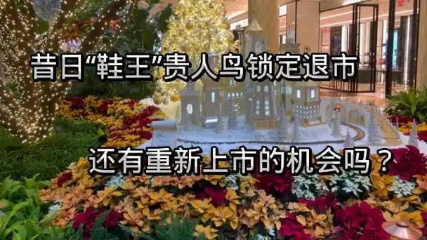 昔日"鞋王"贵人鸟即将摘牌,面值退市公司为何大幅增加了?_新浪新闻