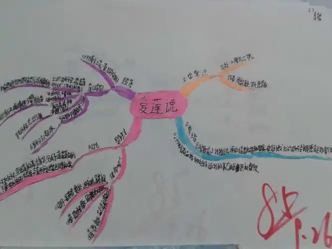 【学生作品】爱莲说思维导图