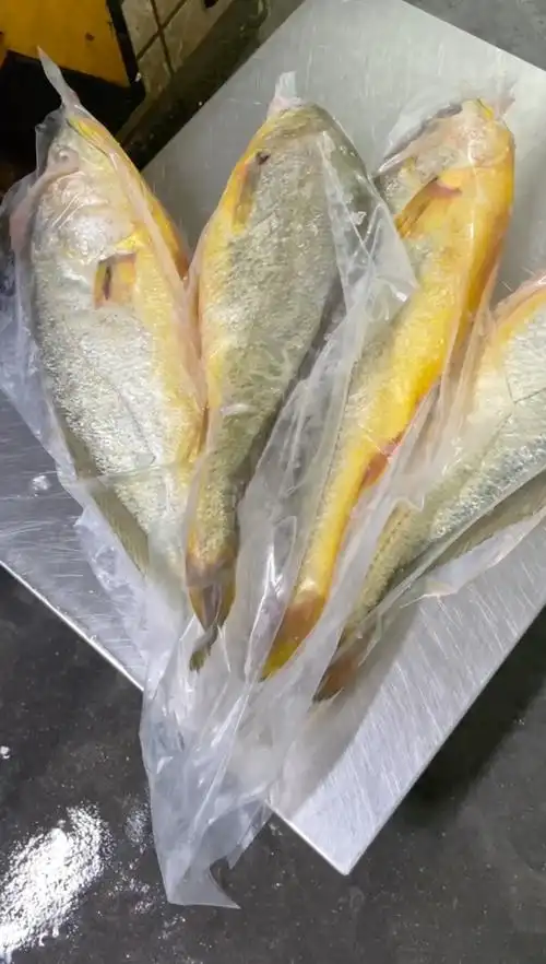 999金条大黄鱼95,各式美味.