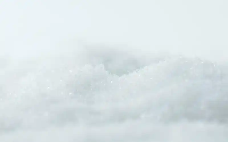 首页 电脑壁纸 白色玫瑰花 > || 更新时间:2018-08-16 颜色分 白色