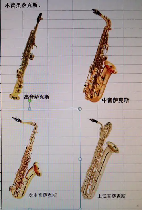 九中"九之乐校园交响管乐团"招贤纳士