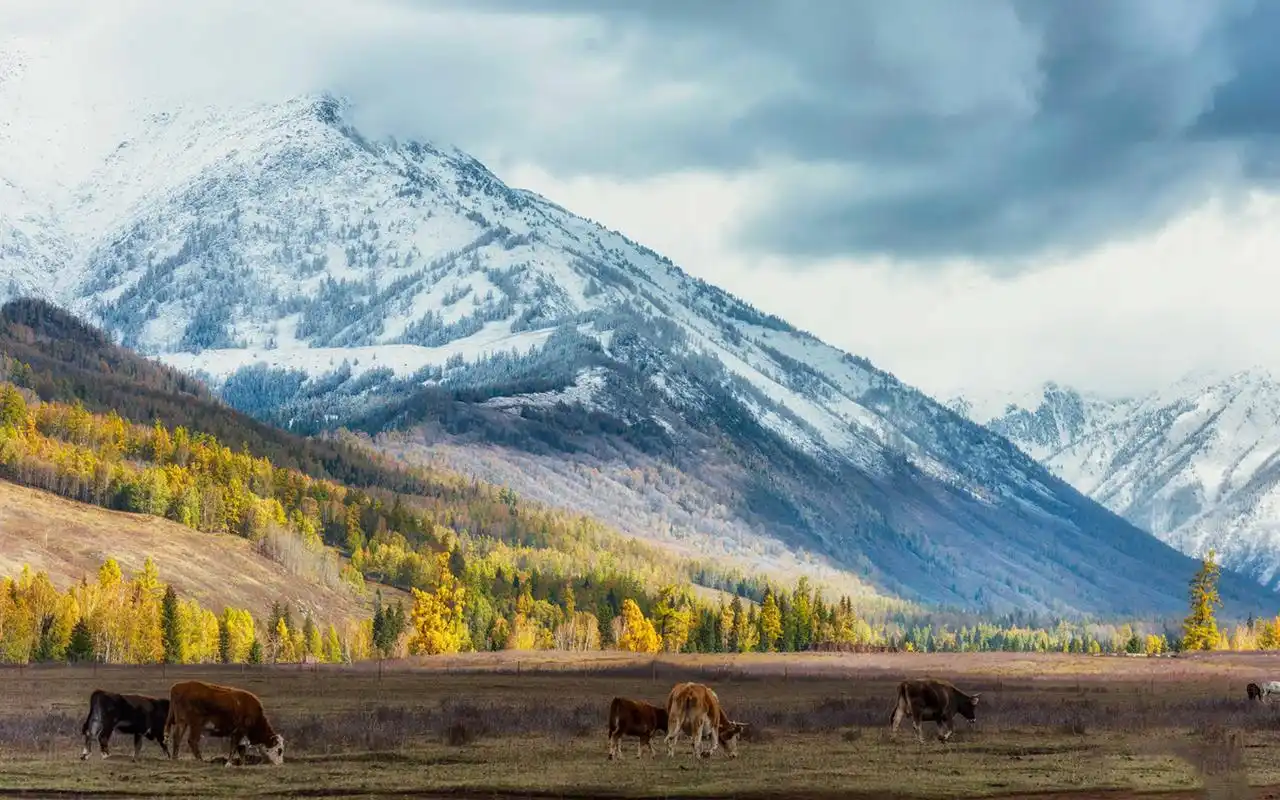 广阔无垠的大草原高清风景图片桌面壁纸