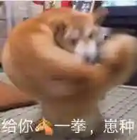 小子别太屌,等我5分钟,我盗了你qq表情包 - 日常表情包