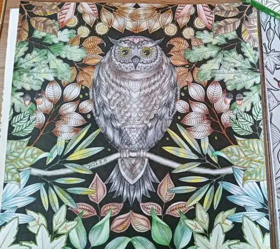 秘密花园奇幻梦境成品图