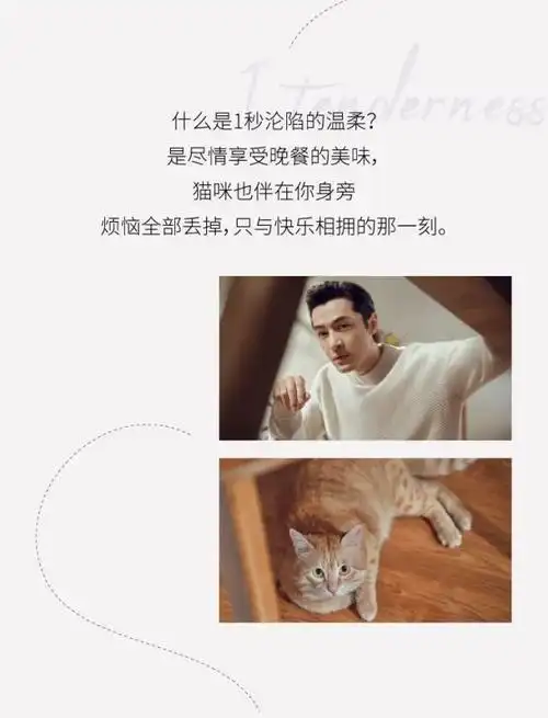胡歌×卫仕|好猫粮的诞生,是一场"肉的奇妙旅程"