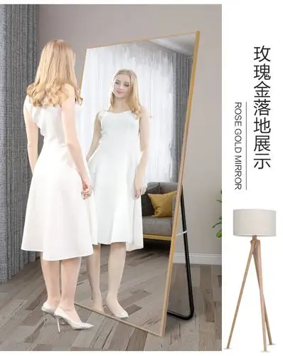 ins网红全身镜女家用落地镜卧室少女穿衣镜服装店大镜子试衣镜
