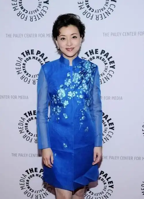 杨澜穿衣挺有品质的刺绣裙显得气韵高贵美得成熟又知性