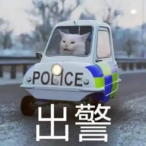 抖音上面很火的猫咪警察指人表情包