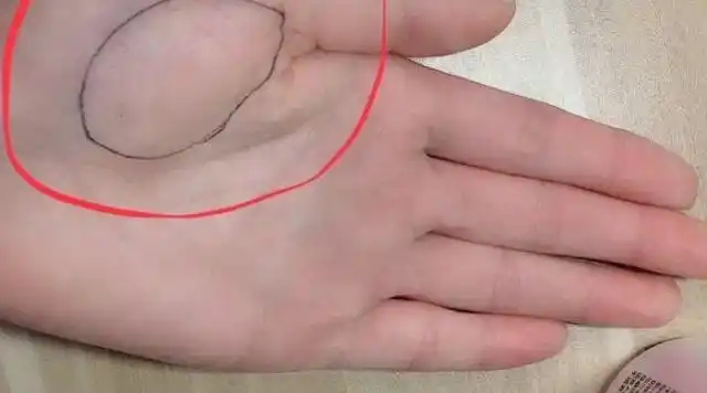 你的金星丘饱满吗?此手相命中必有一财,千万别错过咯