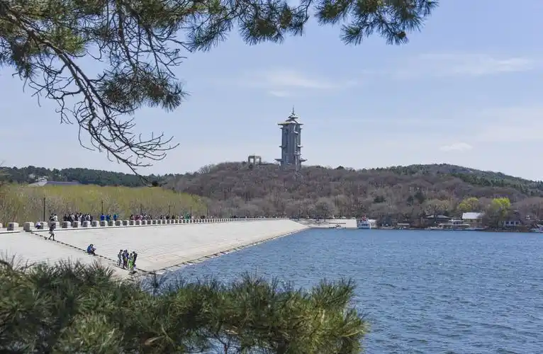吉林长春-老虎《拍摄于长春净月潭国家森林公园》